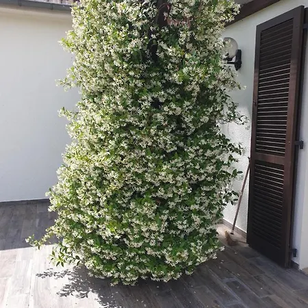 Ferienhaus Spacieuse Proche Golf 18 Trous